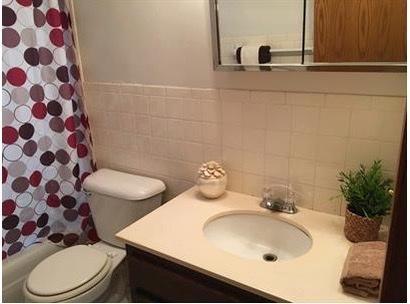 full bathroom featuring shower / tub combo with curtain, tile walls, vanity, and toilet