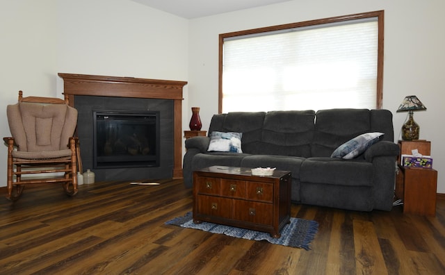 living room with dark wood-type flooring