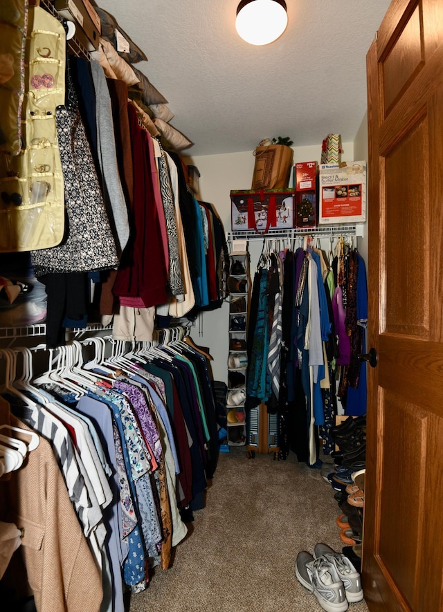 walk in closet with carpet