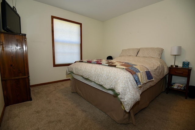 bedroom featuring carpet flooring