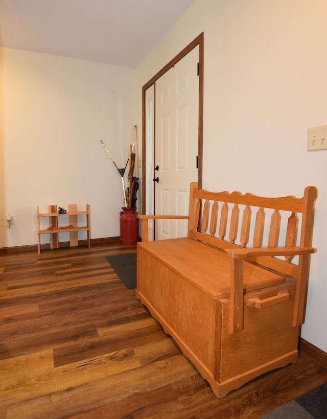 bedroom featuring a closet and dark hardwood / wood-style floors