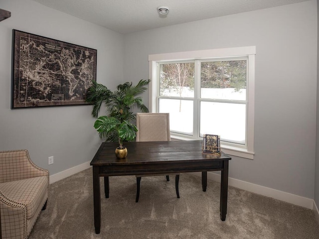 view of carpeted home office