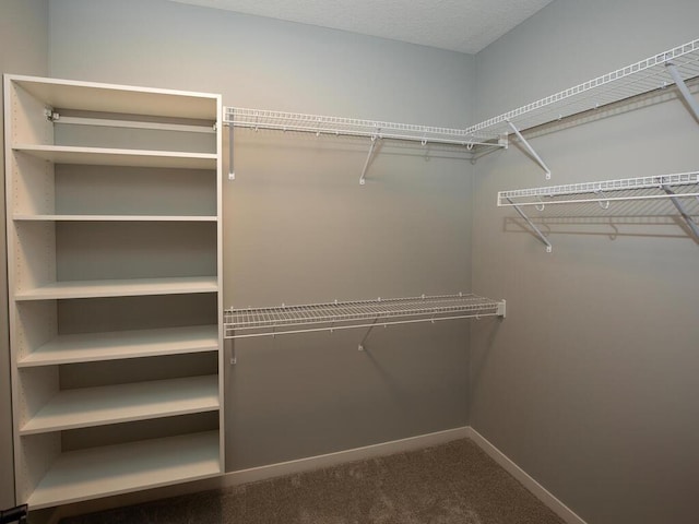 walk in closet featuring carpet flooring