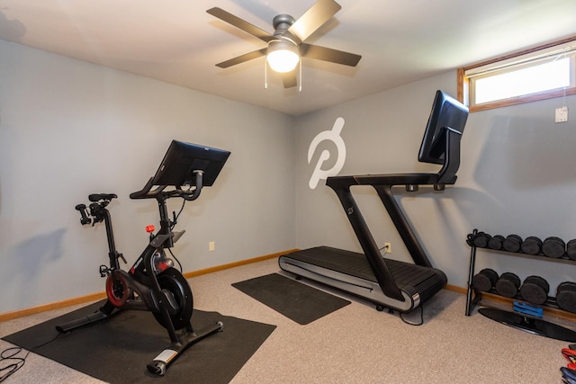 workout area featuring carpet flooring and ceiling fan