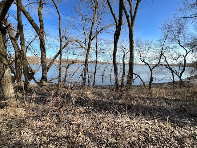 18 Cottonwood Lake Blvd, Windom, MN 56101