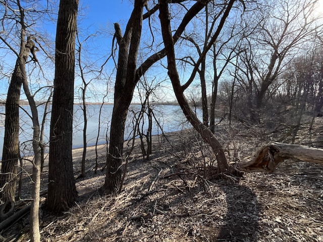 18 Cottonwood Lake Blvd, Windom, MN 56101