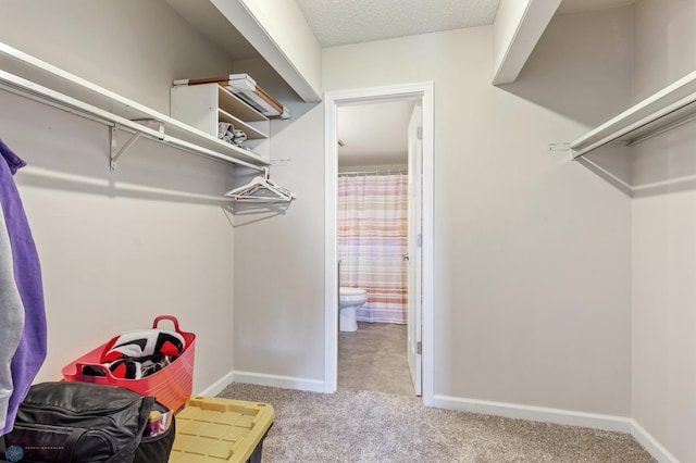 1110 3rd Ave N Unit 801W, Fargo, ND 58102 - walk in closet with carpet