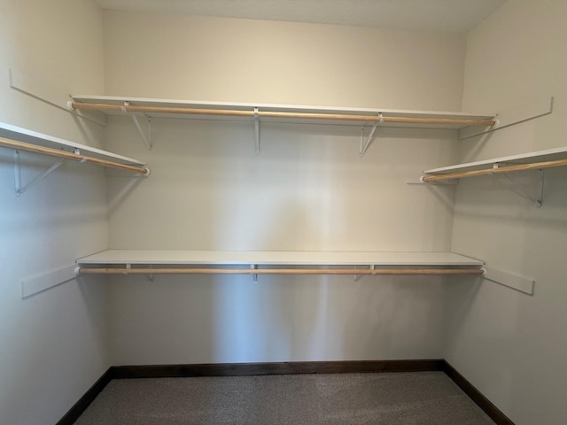 13077 Opal St NE, Blaine, MN 55449 - view of spacious closet