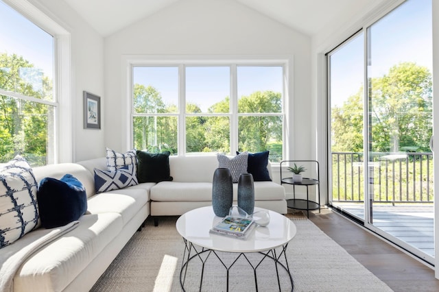 living room featuring hardwood / wood-style flooring, lofted ceiling, and plenty of natural light