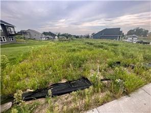 19549 York Dr NW, Elk River, MN 55330 - view of yard with a vegetable garden
