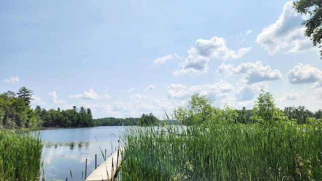 26810 Hart Lake Rd, Pengilly MN, 55775 land for sale