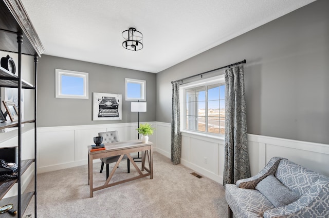 office with light carpet and a wealth of natural light