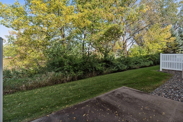 view of yard featuring a patio