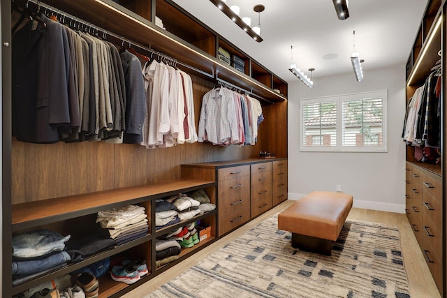 spacious closet with light wood-type flooring