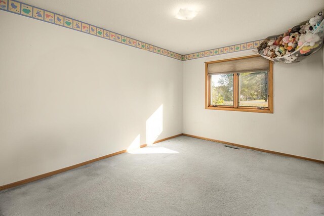 spare room with carpet floors