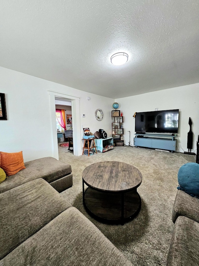 carpeted living room with a textured ceiling