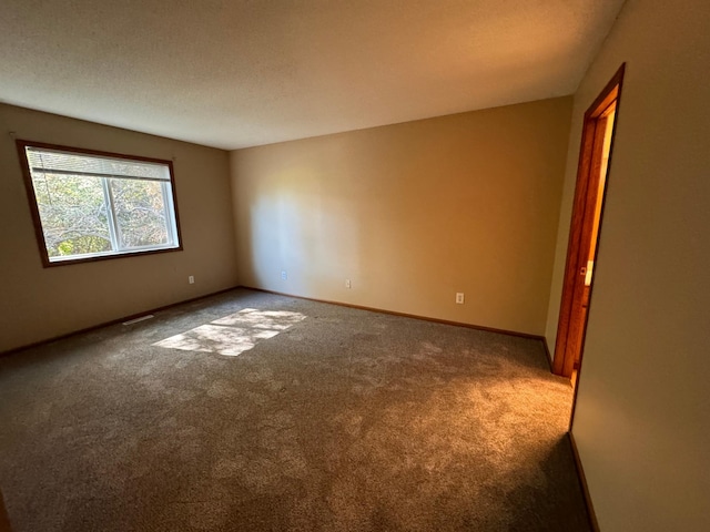 spare room with carpet