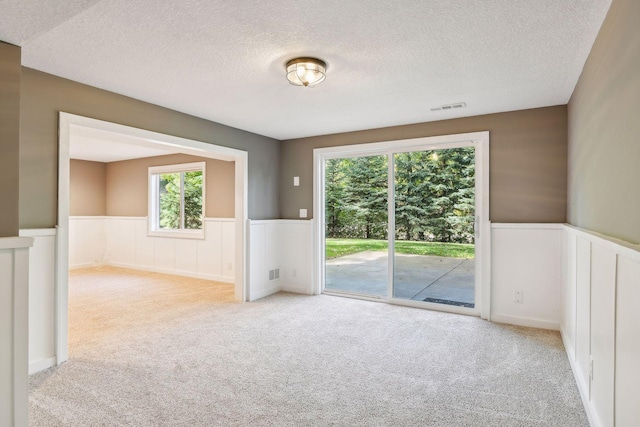 empty room featuring light carpet, a textured ceiling, and a healthy amount of sunlight