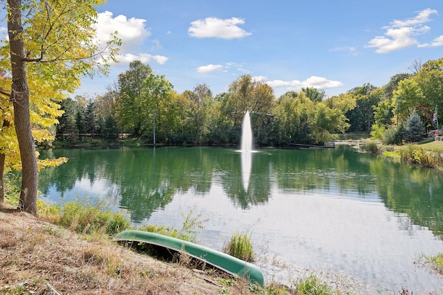 property view of water