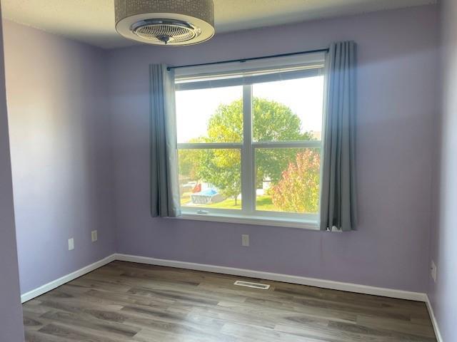 spare room featuring hardwood / wood-style flooring and a wealth of natural light