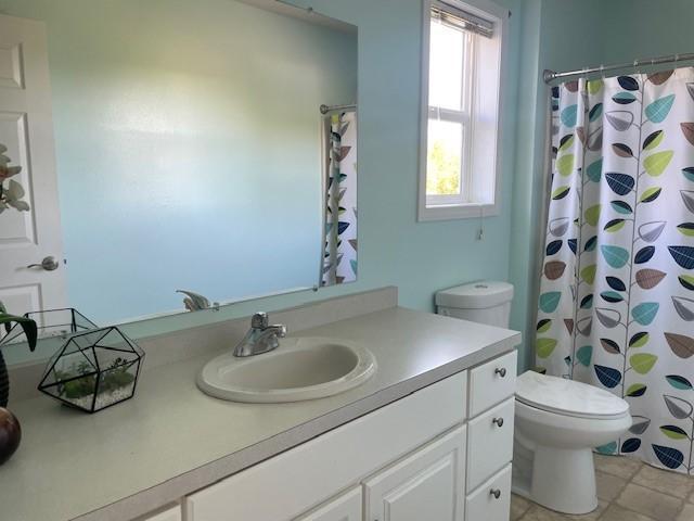 bathroom with vanity, toilet, and a shower with shower curtain