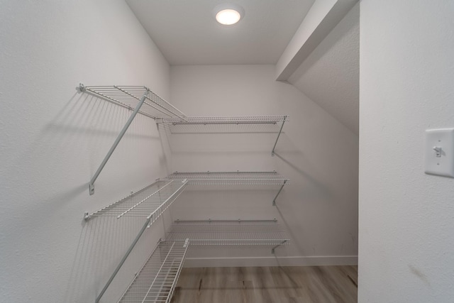 spacious closet featuring hardwood / wood-style flooring