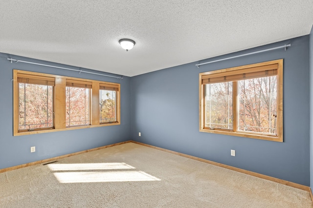 empty room featuring a textured ceiling and carpet flooring