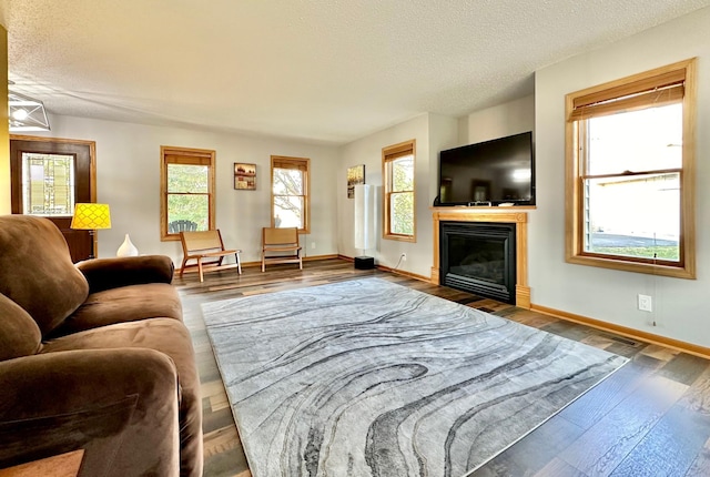 living room featuring hardwood / wood-style floors and a textured ceiling