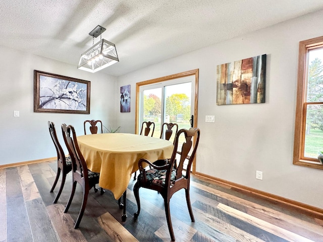 dining area featuring hardwood / wood-style flooring and a textured ceiling