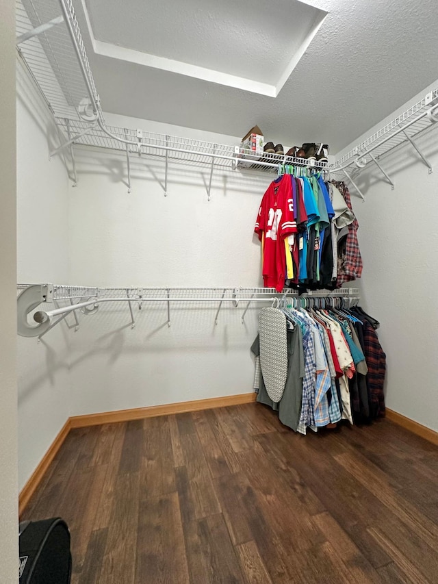 spacious closet with wood-type flooring