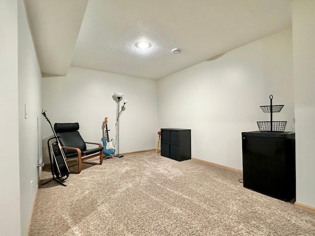 living area with carpet flooring and a textured ceiling