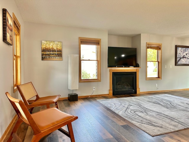 sitting room featuring hardwood / wood-style floors and a textured ceiling