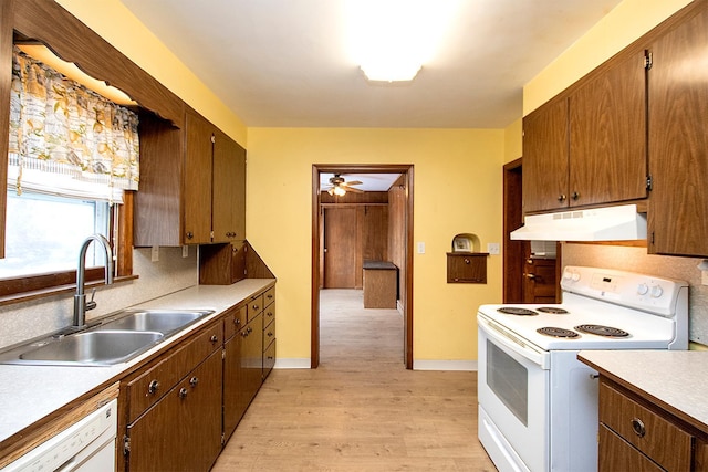 kitchen featuring white appliances, light hardwood / wood-style floors, ceiling fan, and sink