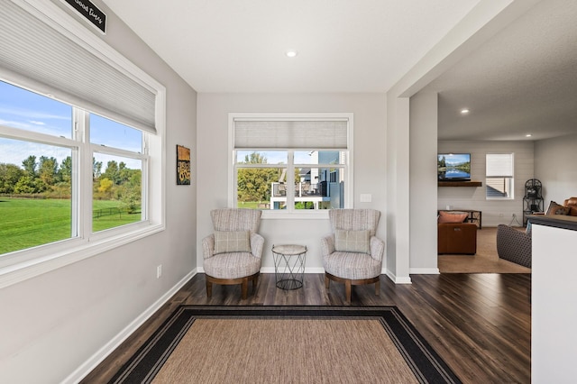 sitting room featuring a wealth of natural light and hardwood / wood-style floors