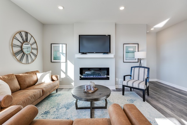 living room featuring wood-type flooring