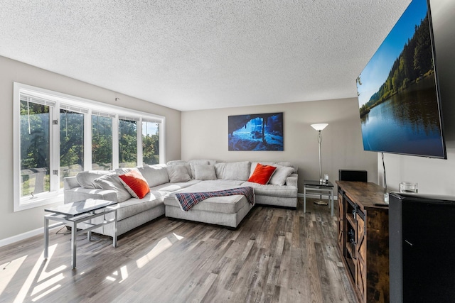 living room featuring a textured ceiling and wood-type flooring