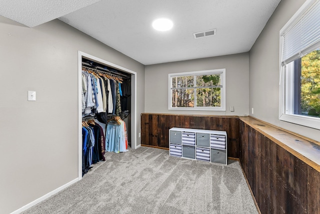 spacious closet featuring carpet floors