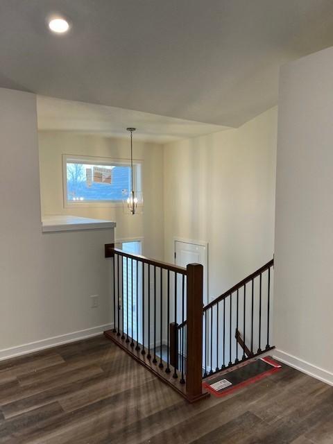 stairs with wood-type flooring and an inviting chandelier