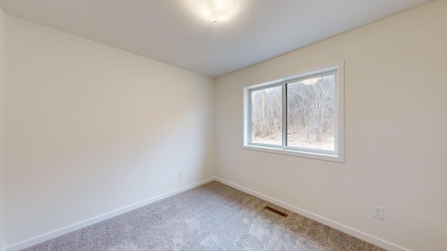 1773 Hadley Hills Dr NE, Rochester, MN 55906 - photo 18
