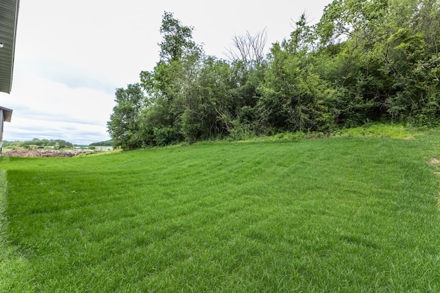 1773 Hadley Hills Dr NE, Rochester, MN 55906 - photo 37