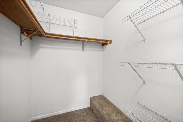 spacious closet featuring carpet floors