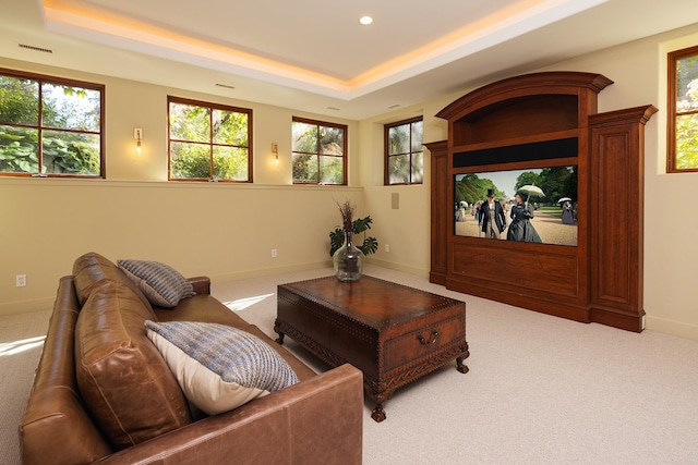 interior space with a tray ceiling