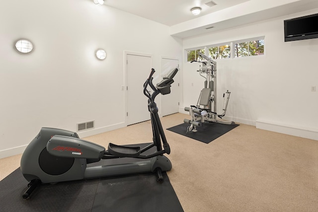 exercise area with light colored carpet