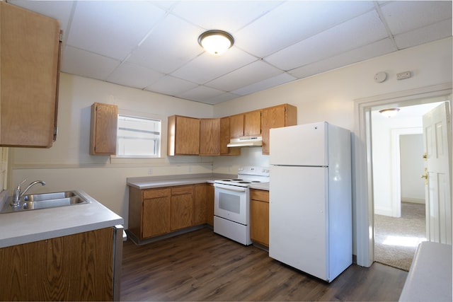 314 8th Ave S, Saint Cloud, MN 56301 - kitchen with white appliances, under cabinet range hood, a drop ceiling, a sink, and dark wood-style flooring