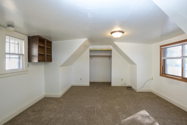 bonus room featuring carpet flooring