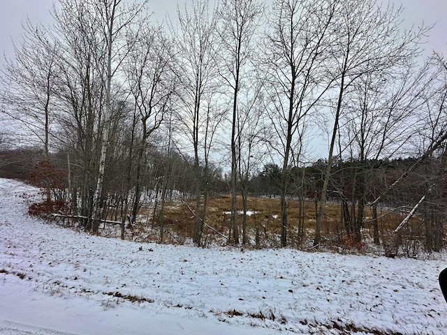 view of yard layered in snow