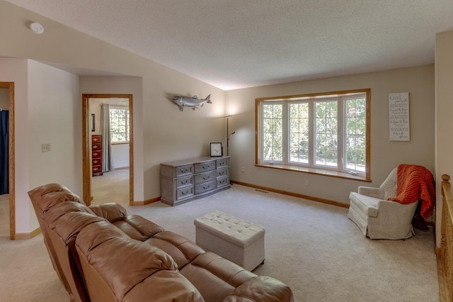 carpeted living room with a textured ceiling