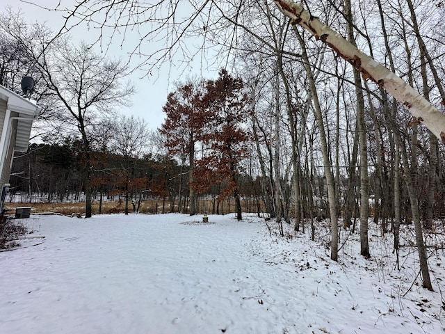 view of yard layered in snow