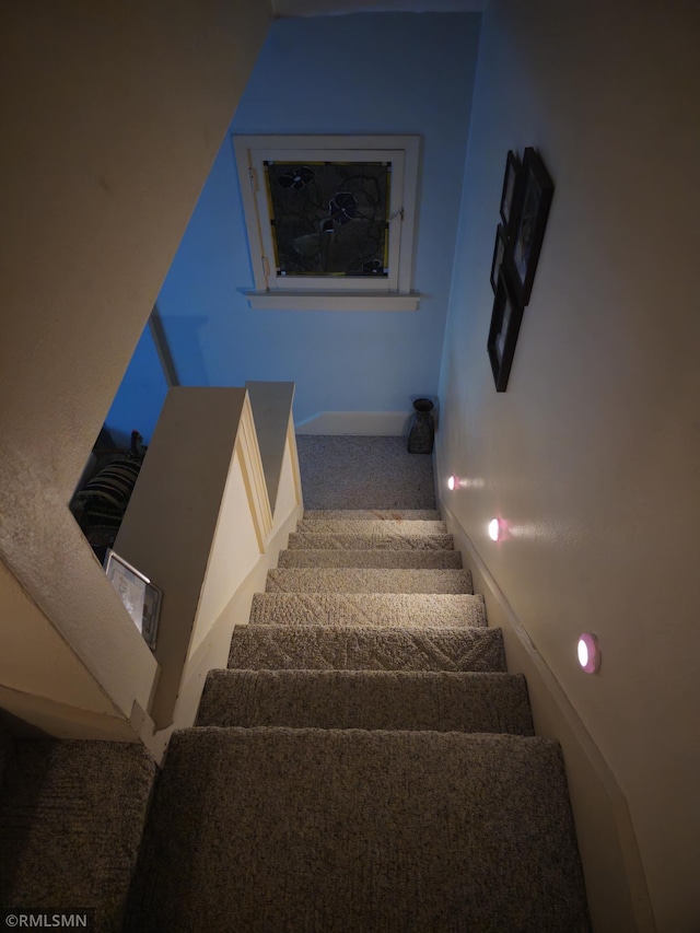 staircase with carpet flooring