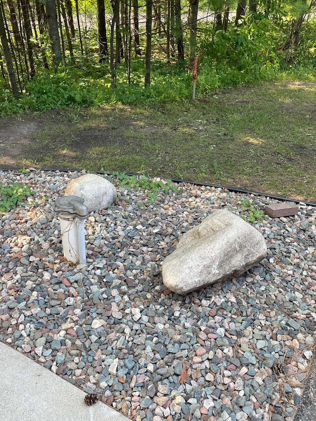 40038 Pearl St, Emily, MN 56447 - view of yard